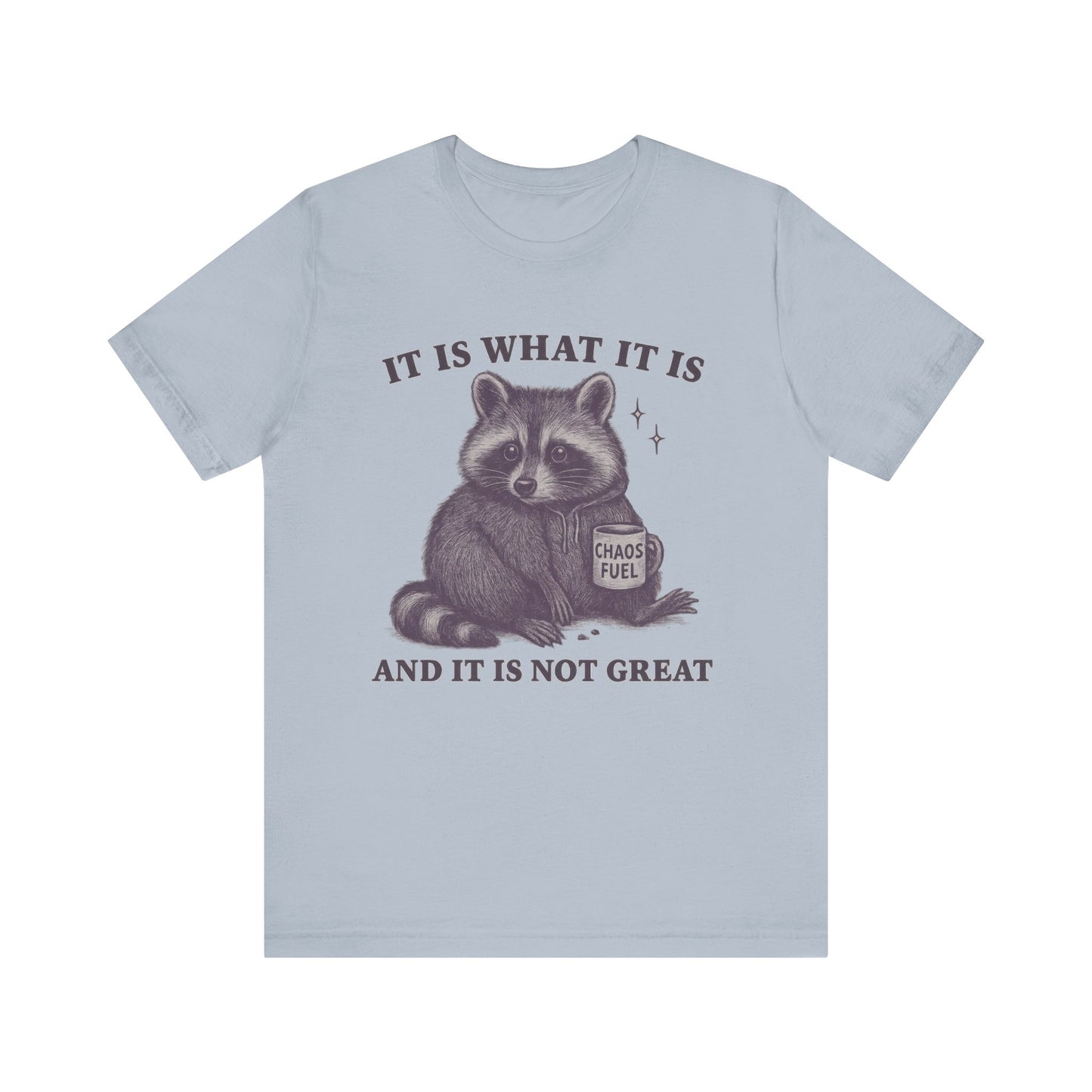It is What It is and It is not Great Shirt
