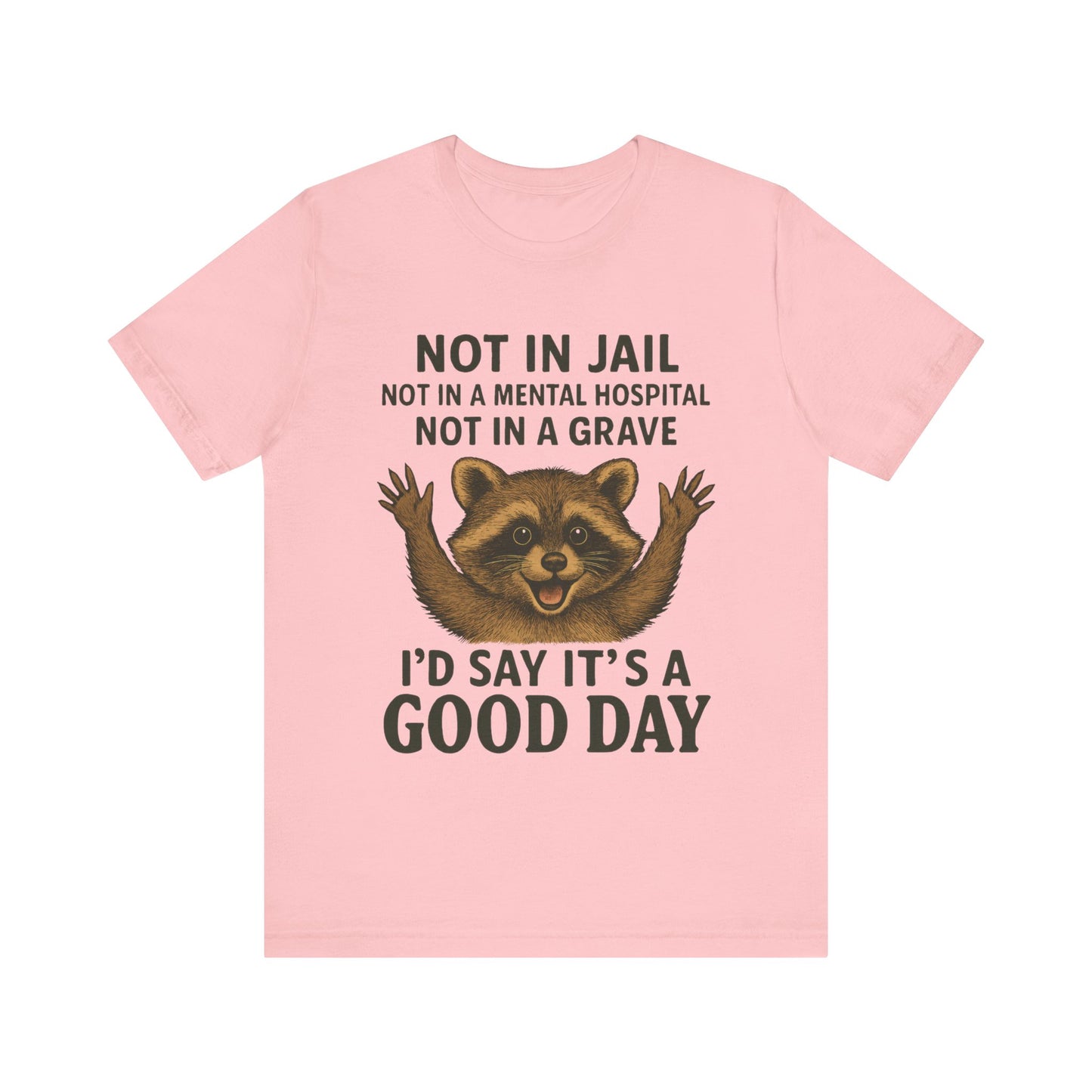 Not In Jail Not in Mental Hospital, Good Day Raccoon Tee