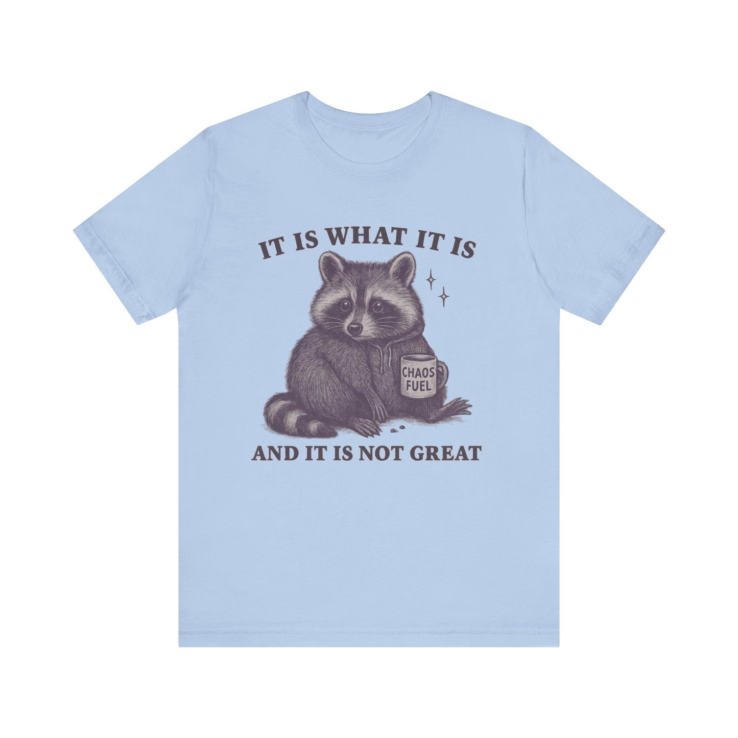 It is What It is and It is not Great Shirt