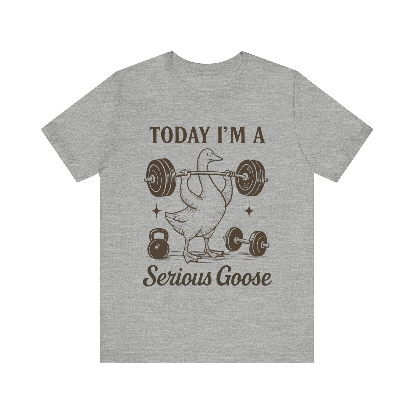 Today I'm a Serious Goose T-Shirt