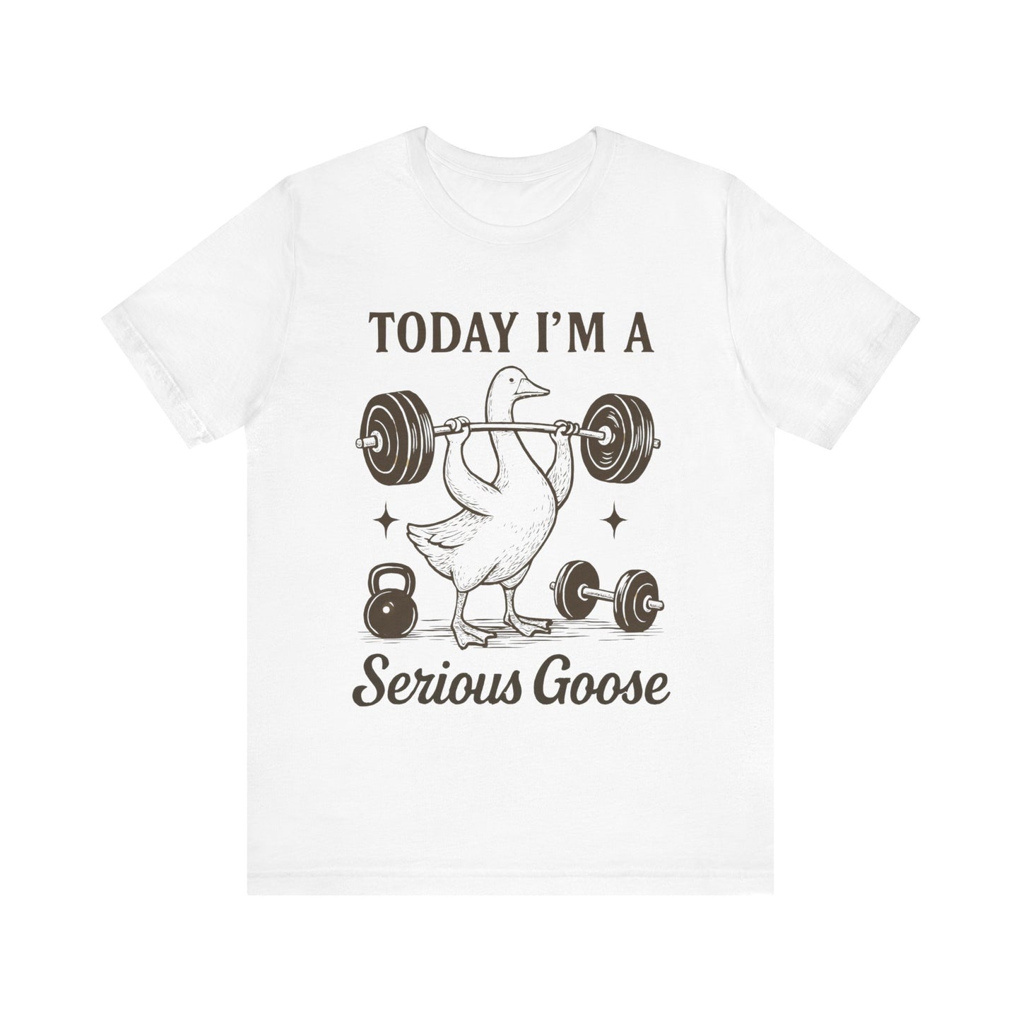 Today I'm a Serious Goose T-Shirt