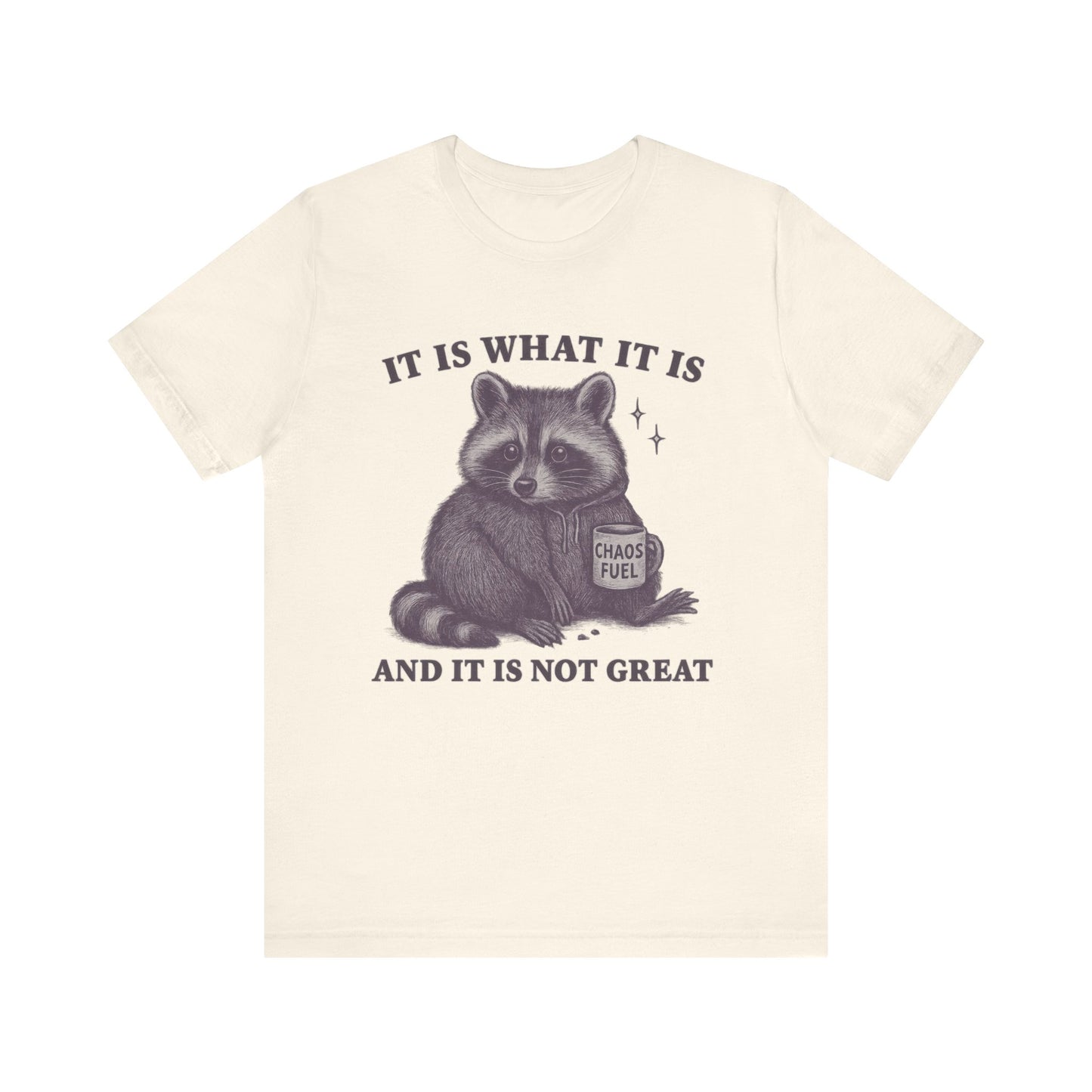 It is What It is and It is not Great Shirt