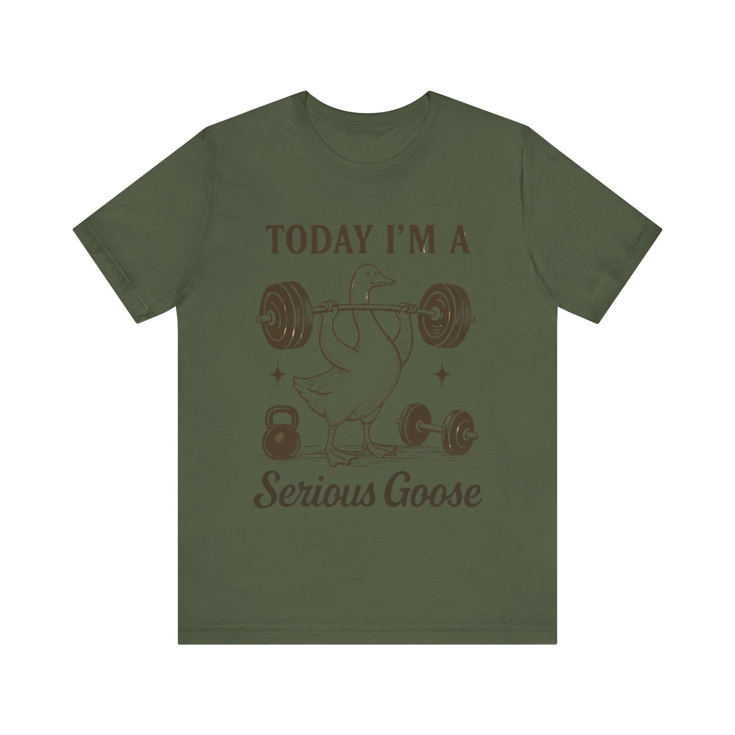 Today I'm a Serious Goose T-Shirt