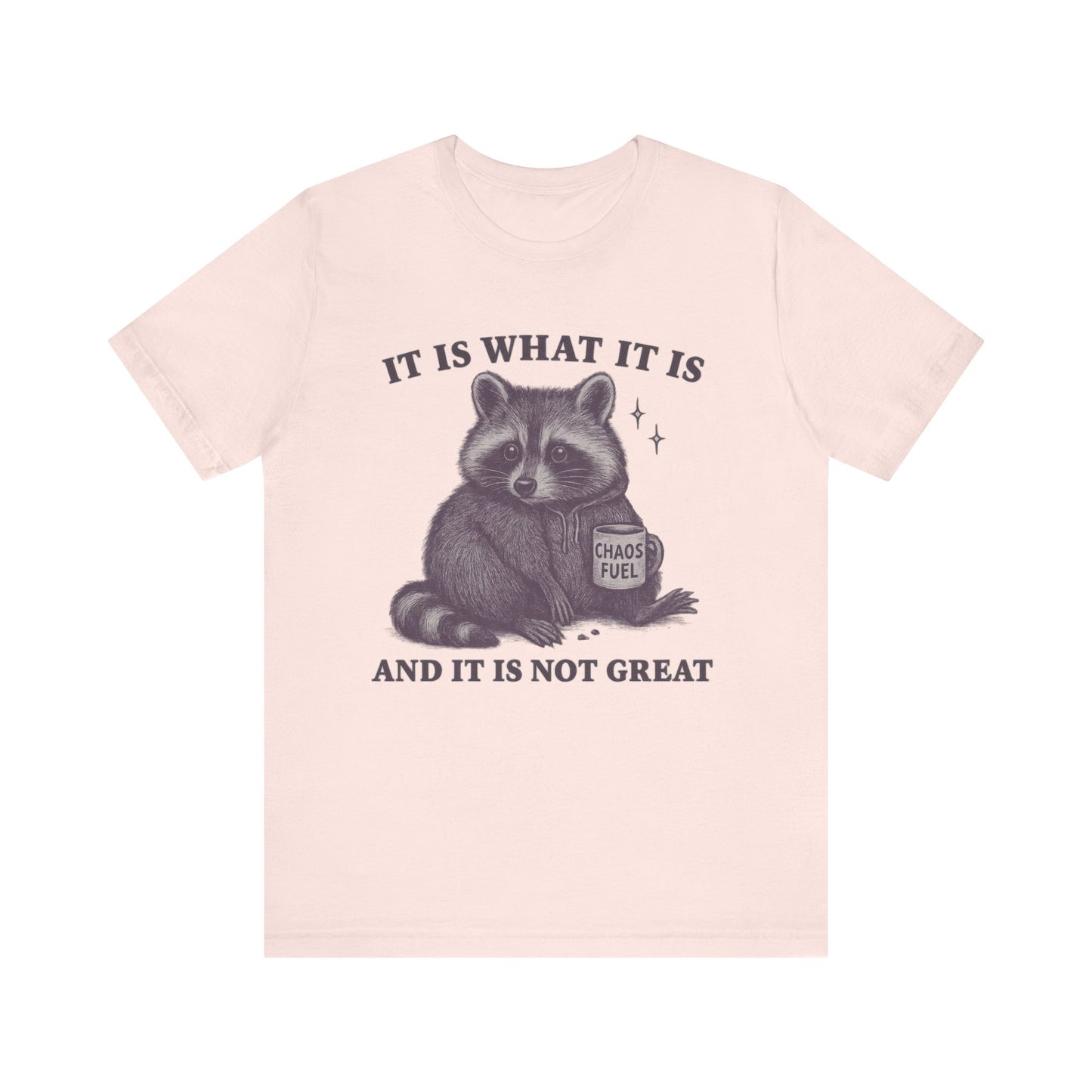 It is What It is and It is not Great Shirt