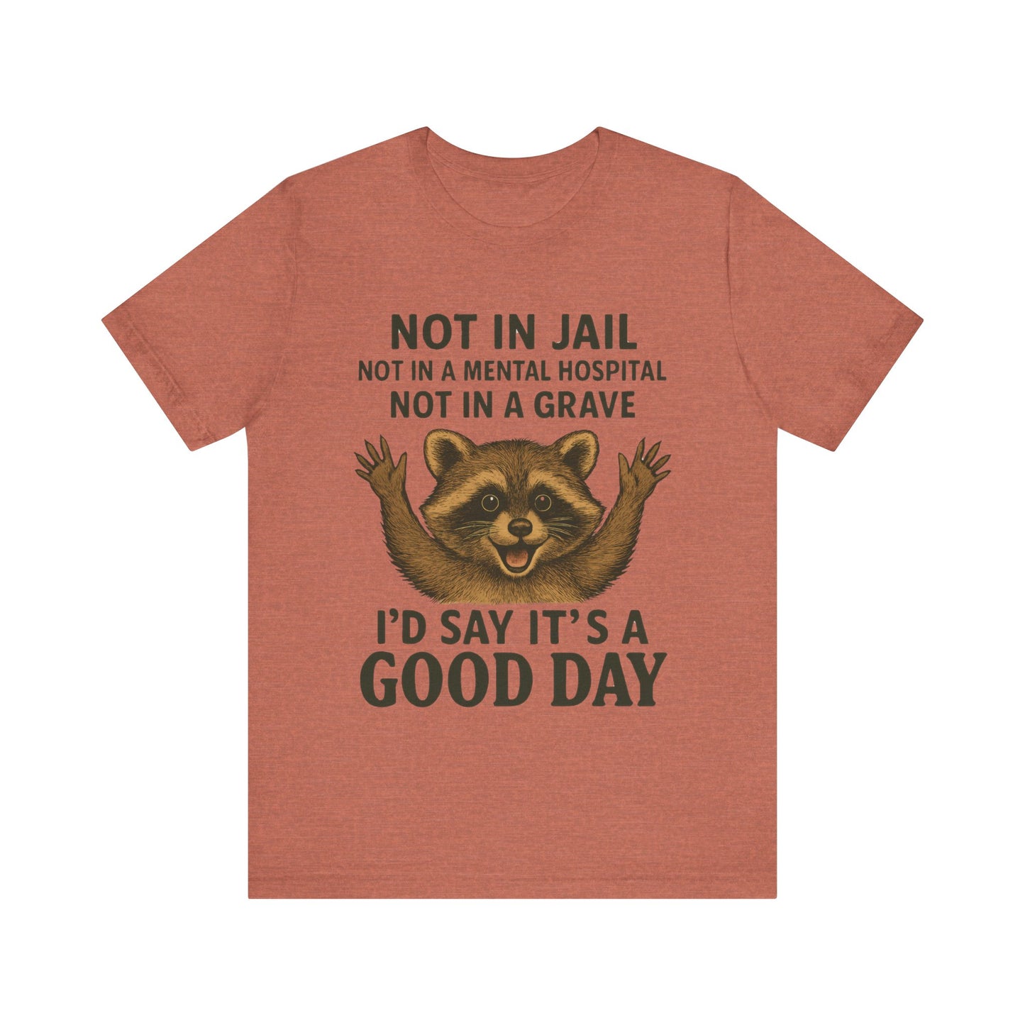 Not In Jail Not in Mental Hospital, Good Day Raccoon Tee