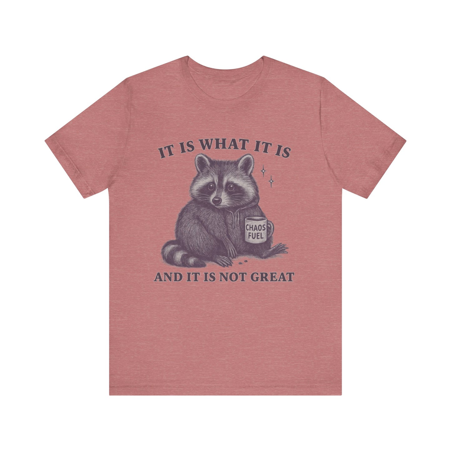 It is What It is and It is not Great Shirt