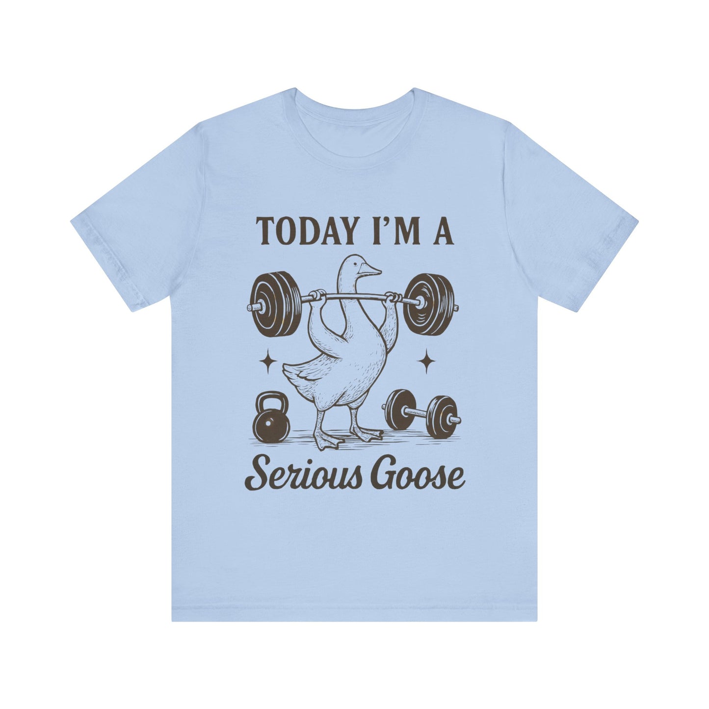 Today I'm a Serious Goose T-Shirt