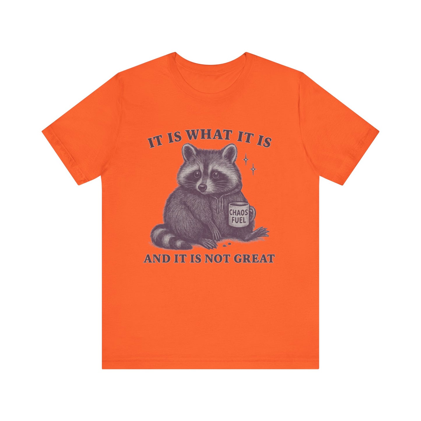 It is What It is and It is not Great Shirt