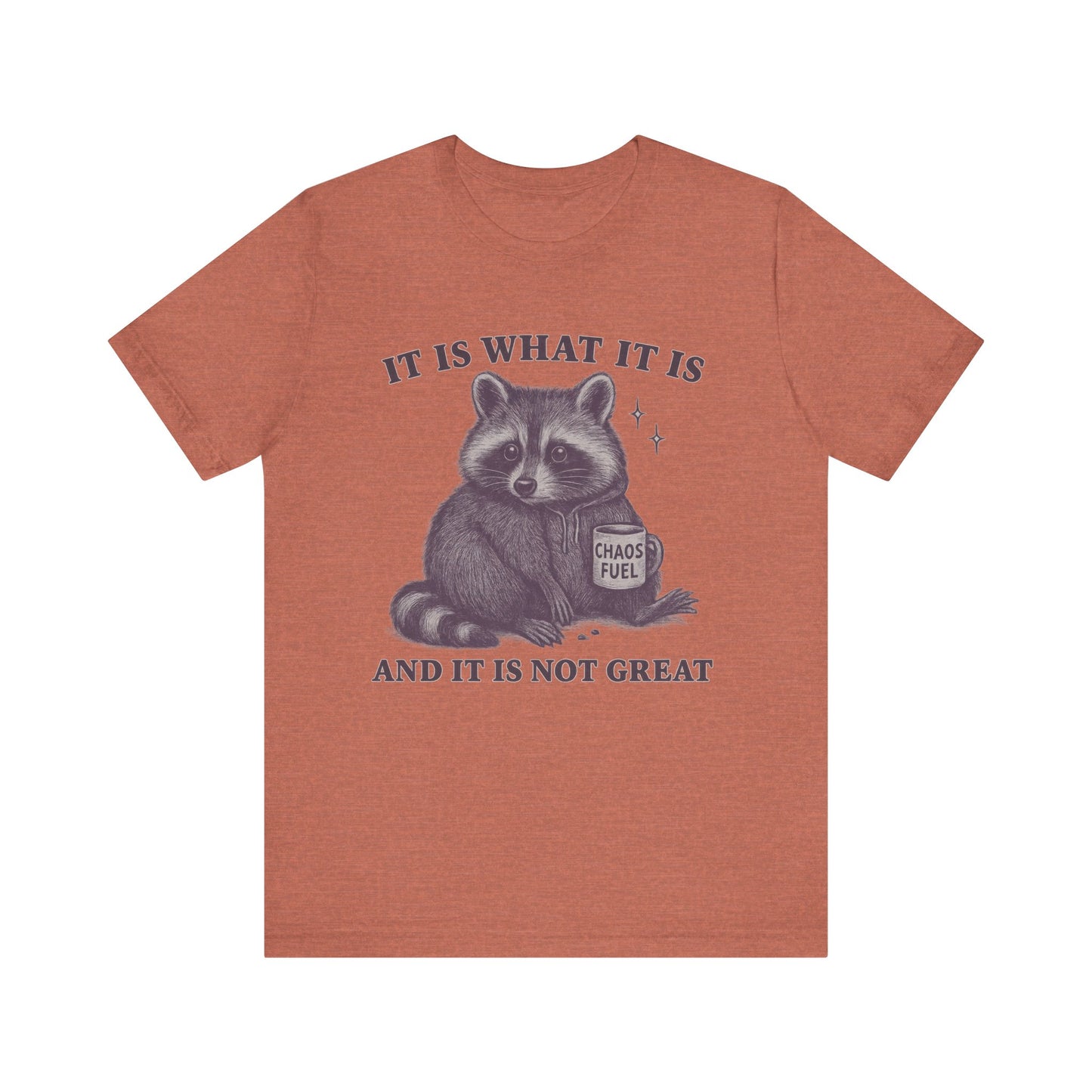 It is What It is and It is not Great Shirt
