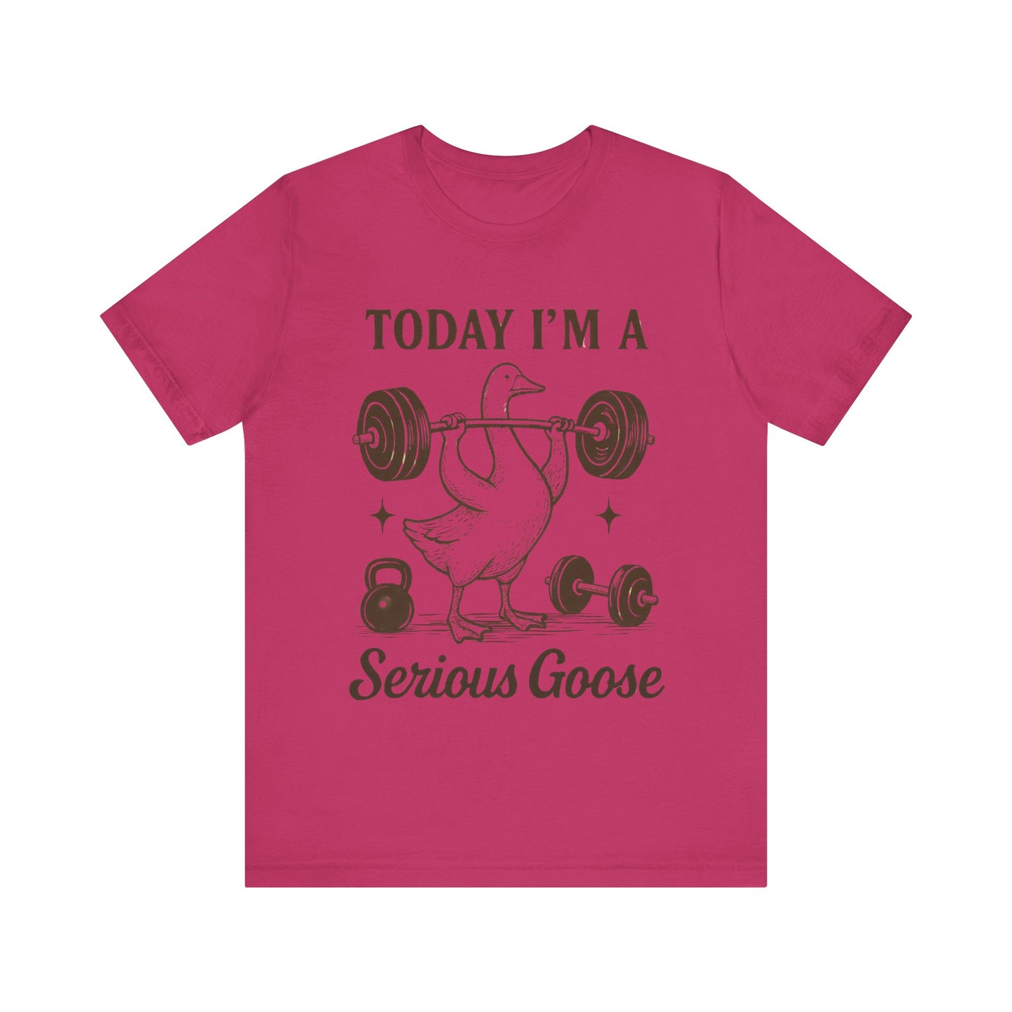Today I'm a Serious Goose T-Shirt