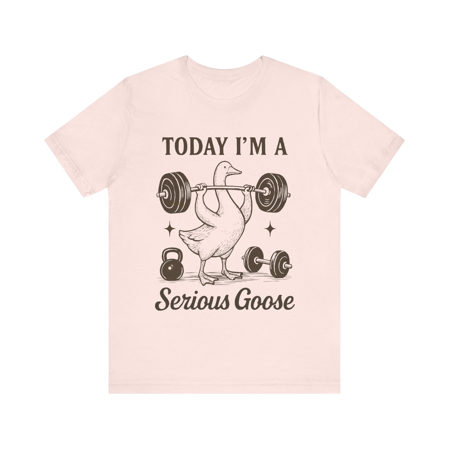 Today I'm a Serious Goose T-Shirt