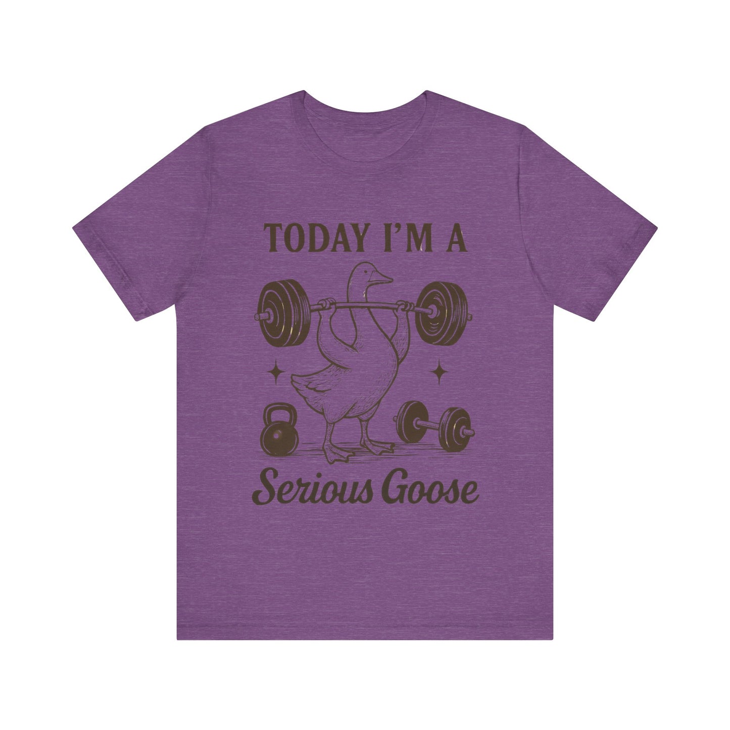 Today I'm a Serious Goose T-Shirt