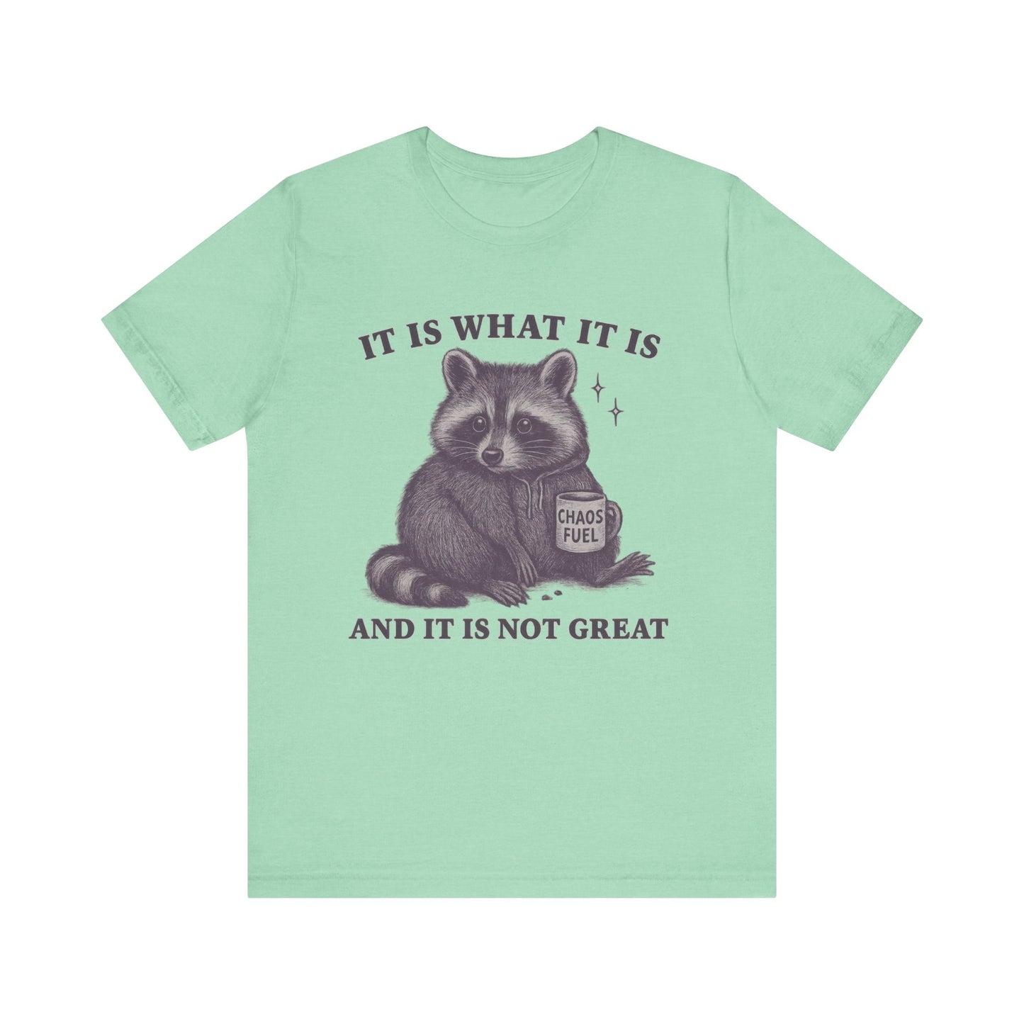 It is What It is and It is not Great Shirt