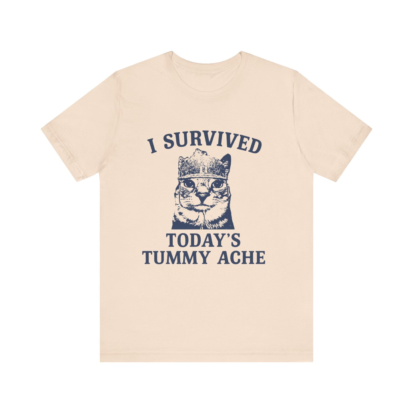 I Survived Today's Tummy Ache Tee