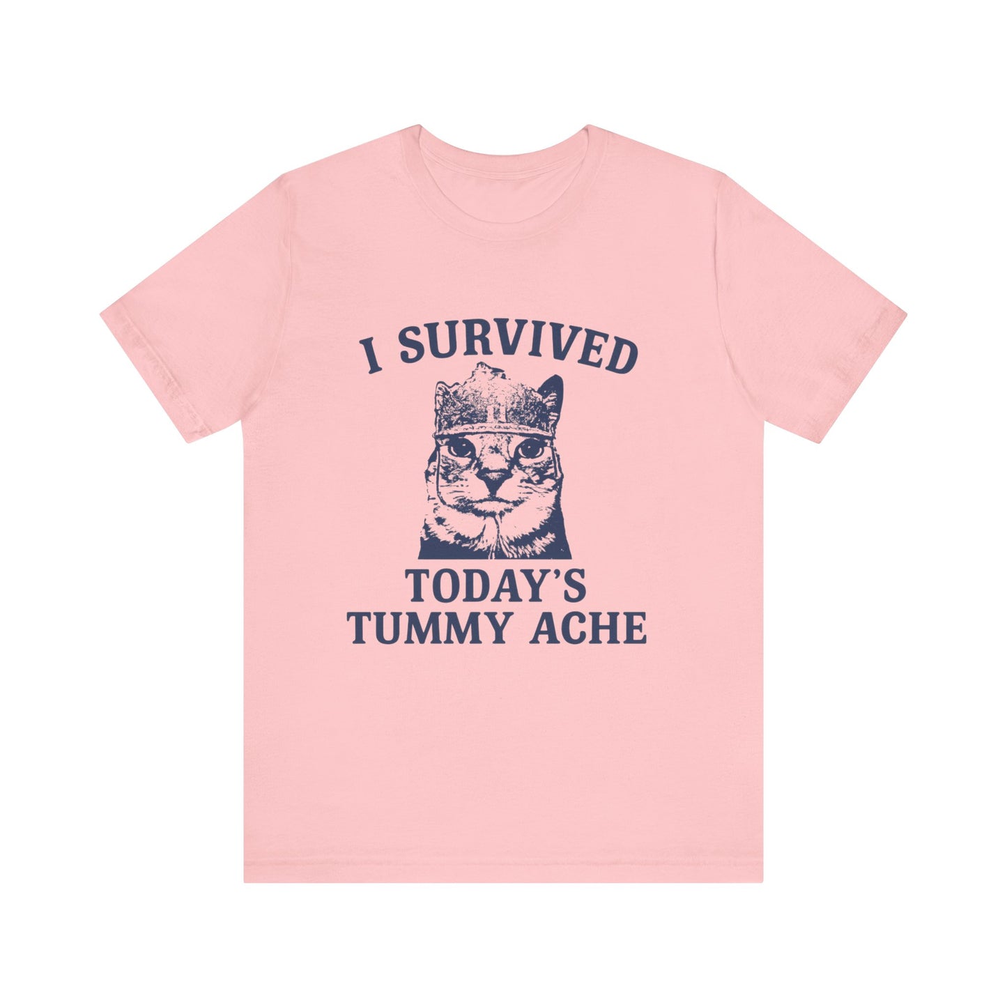 I Survived Today's Tummy Ache Tee