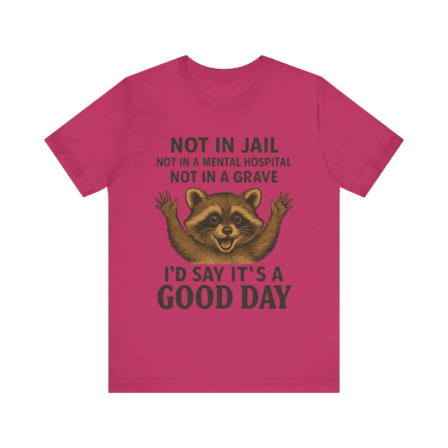 Not In Jail Not in Mental Hospital, Good Day Raccoon Tee