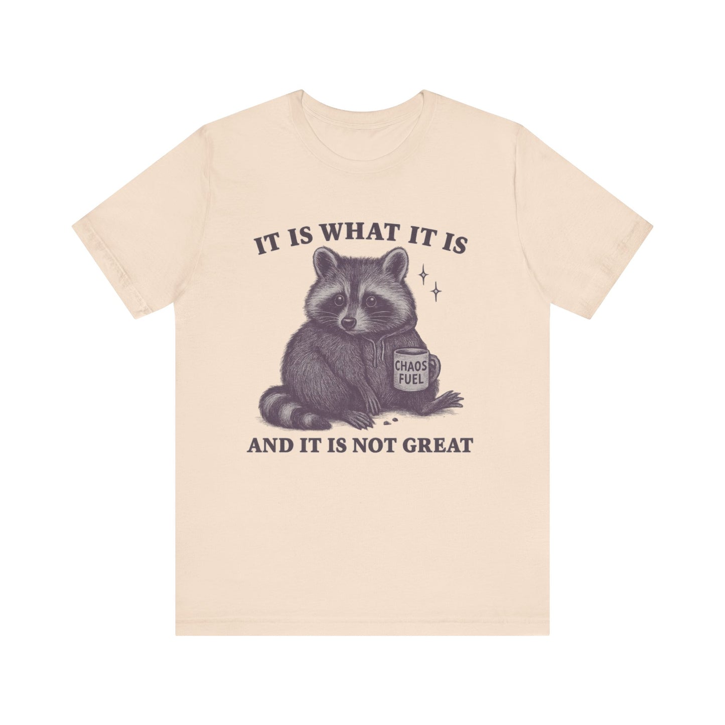 It is What It is and It is not Great Shirt