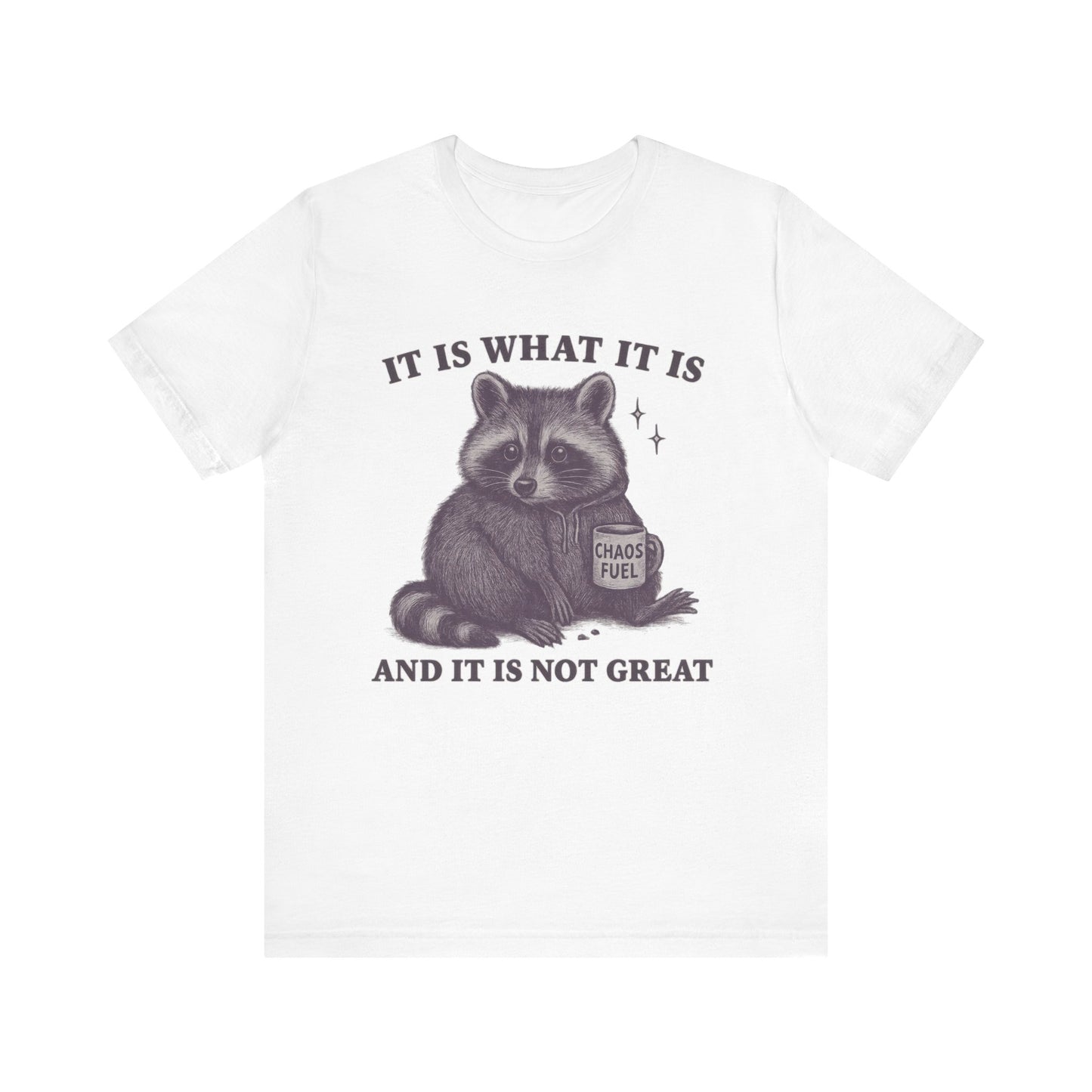 It is What It is and It is not Great Shirt