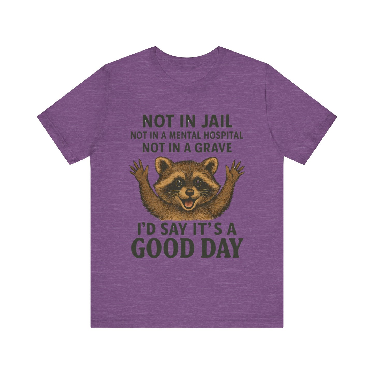 Not In Jail Not in Mental Hospital, Good Day Raccoon Tee