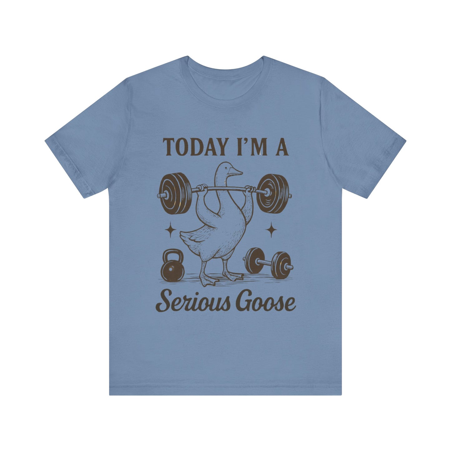 Today I'm a Serious Goose T-Shirt
