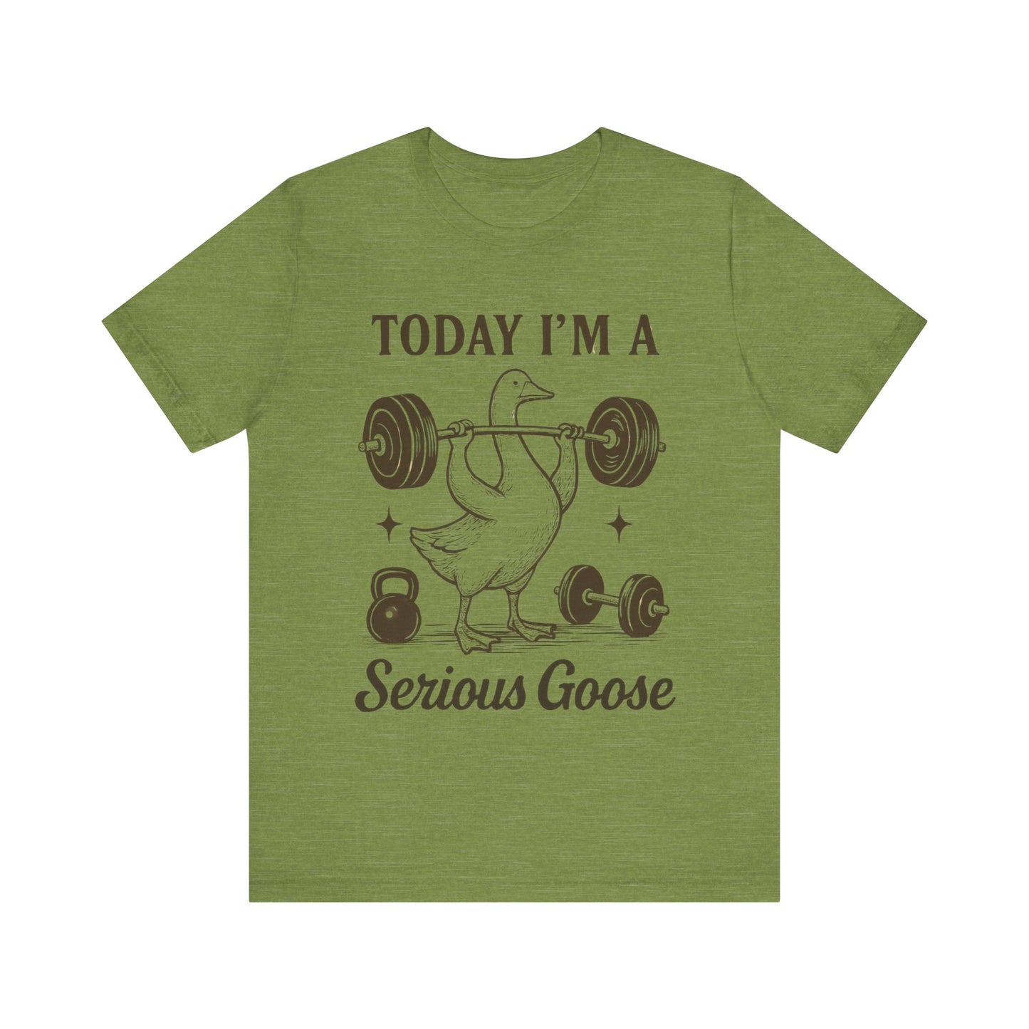 Today I'm a Serious Goose T-Shirt