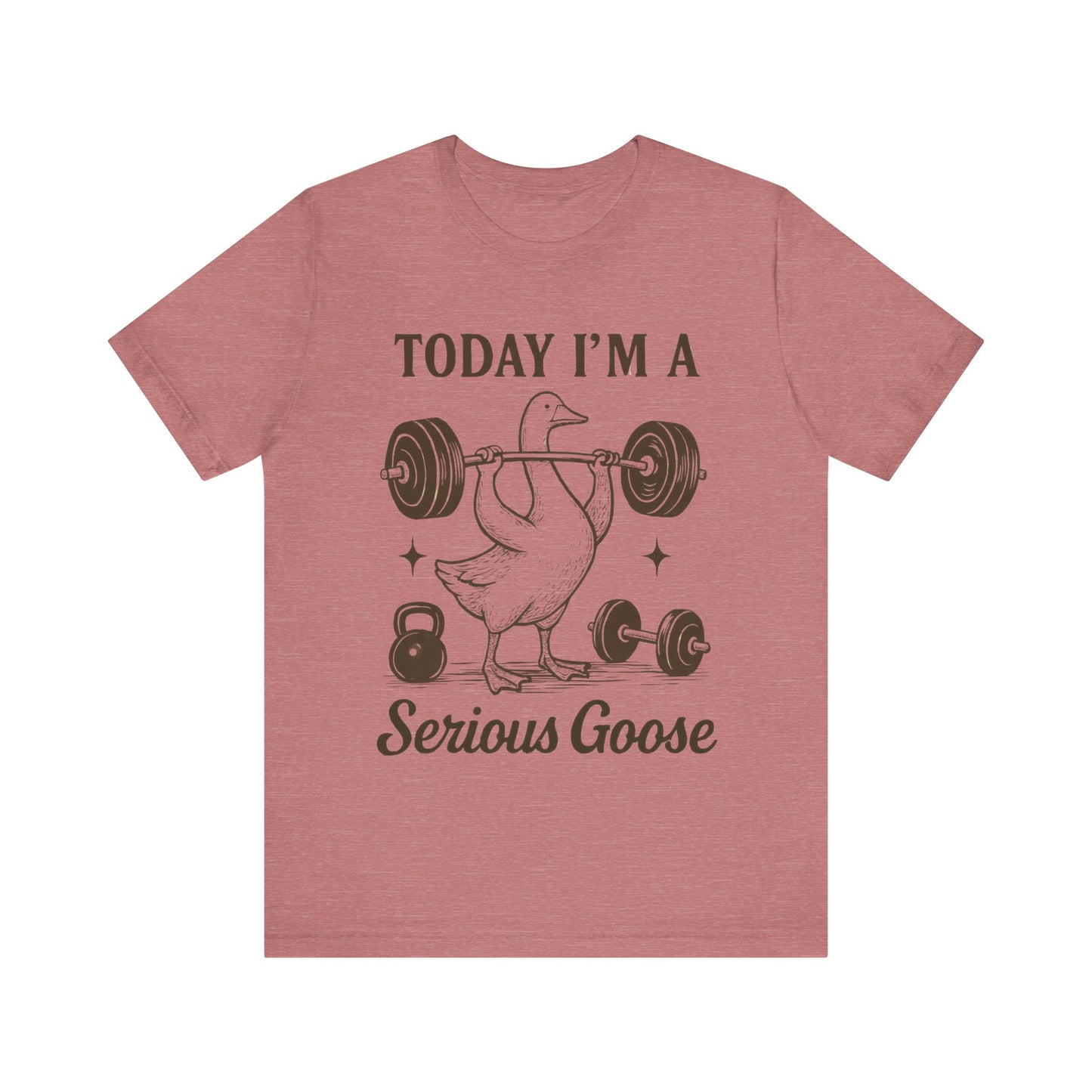 Today I'm a Serious Goose T-Shirt