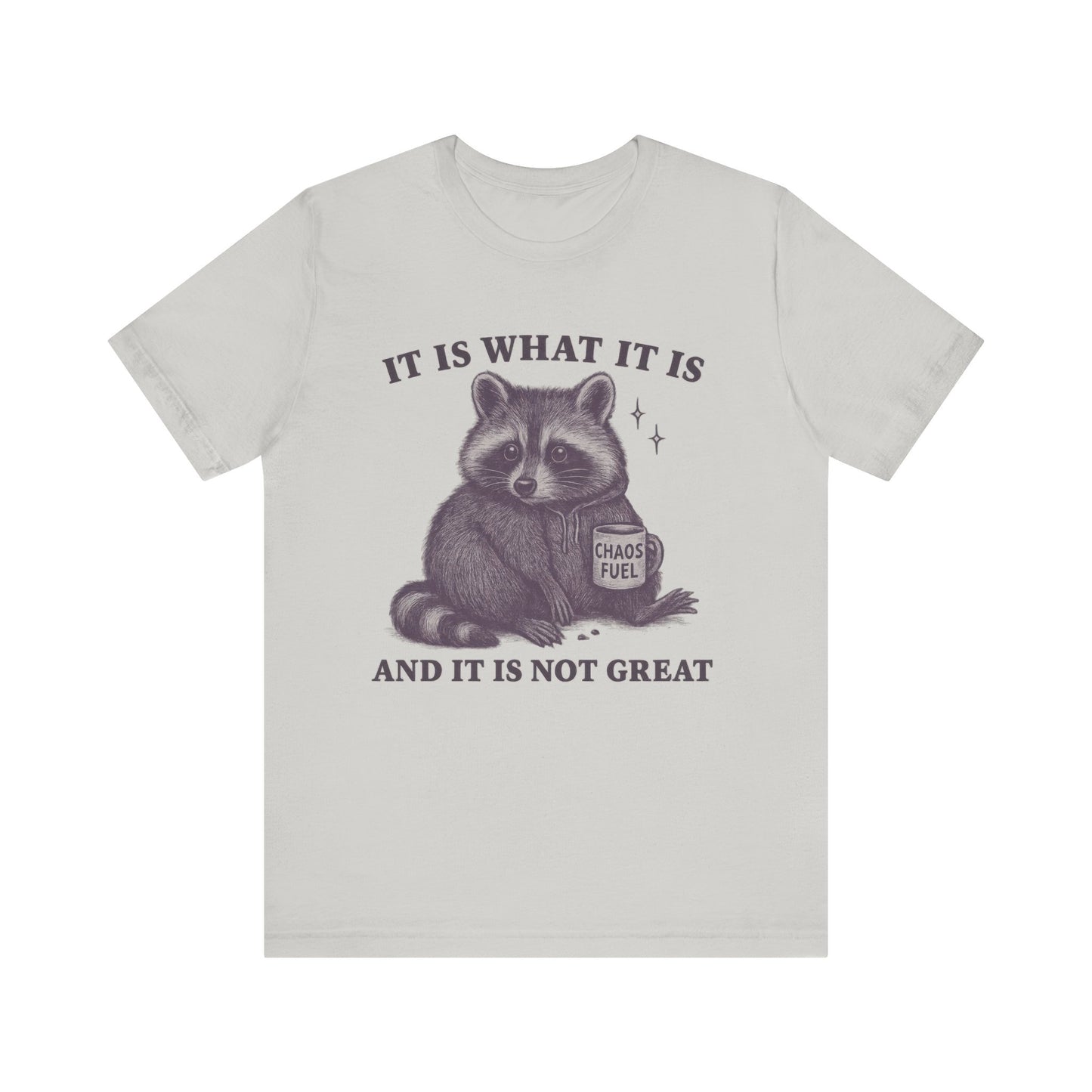 It is What It is and It is not Great Shirt