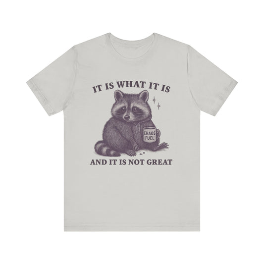 It is What It is and It is not Great Shirt